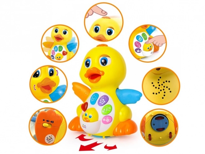 Canard musical interactif
