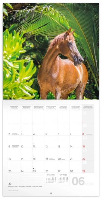 NOTIQUE Calendrier de notes Chevaux – Christiane Slawik 2025, 30 x 30 cm