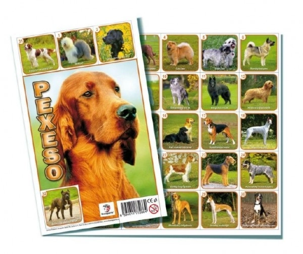 Pexeso Jeu de société pour chiens