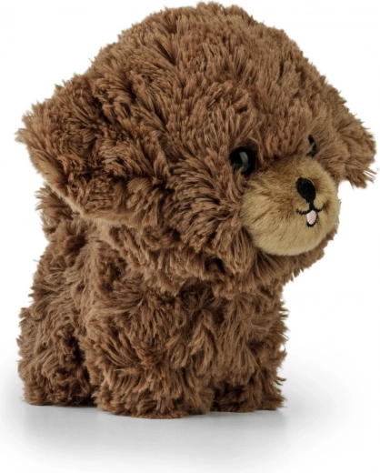 Des détails craquants pour une expression vivante