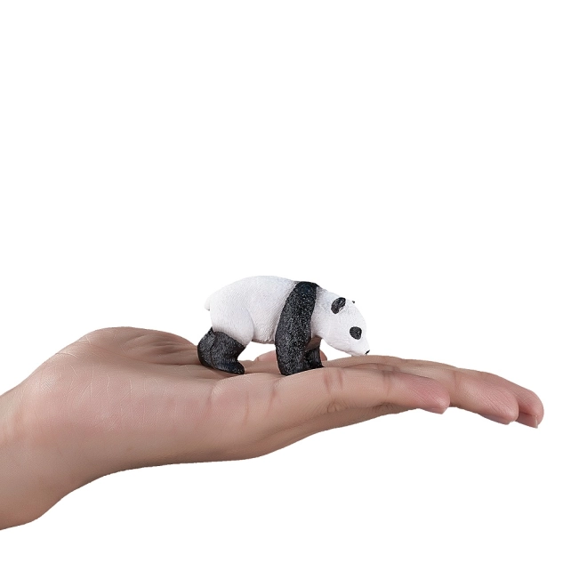 Taille Compacte