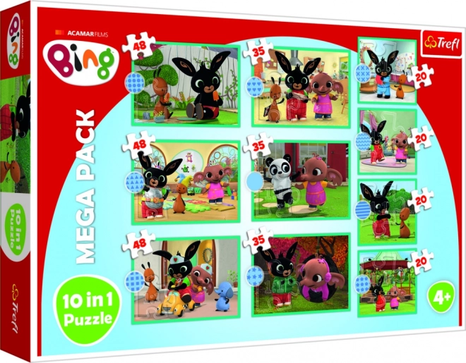Mega Ensemble de Puzzles Bing 10v1