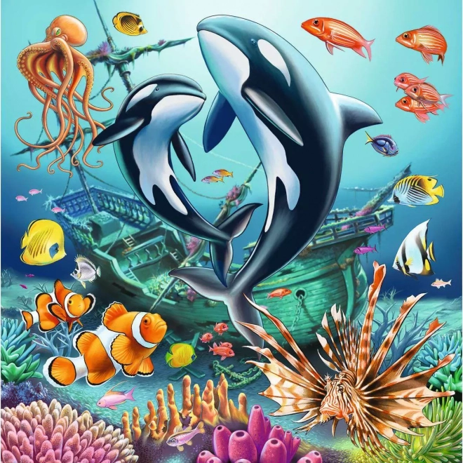 Puzzle Vie sous l'eau 3x49 pièces