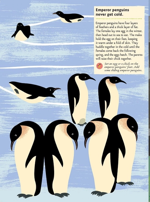 Chronicle Books Livre d'activités autocollants ma nature Oiseaux du monde