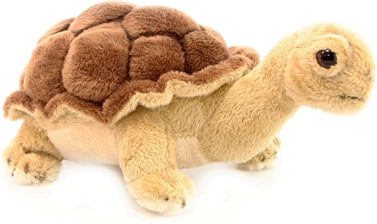 Aspect réaliste avec carapace détaillée