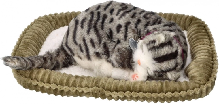 Panier doux pour une maison chaleureuse