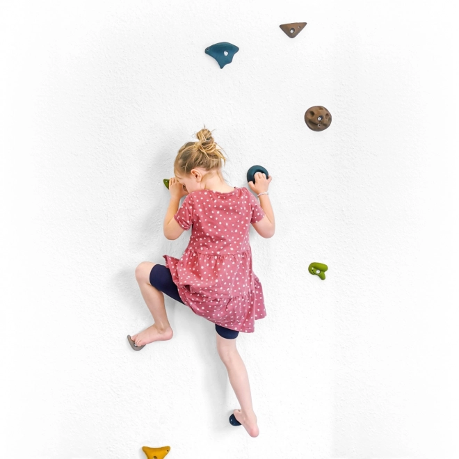 Petits Prises d'escalade Adventure
