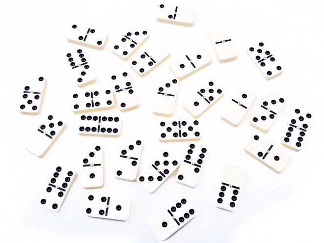 Jeu logique Domino dans un emballage élégant