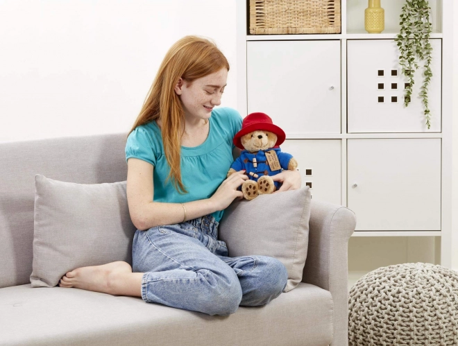 Rainbow Peluche Paddington moyen