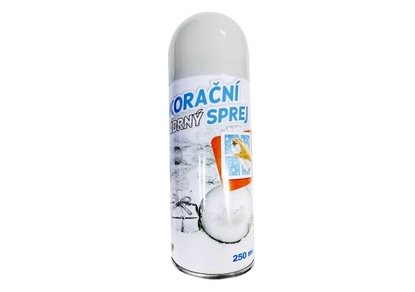 Spray décoratif Argent 250ml