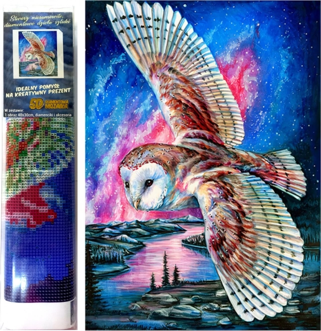 Norimpex Peinture diamant Vol du hibou 30x40cm