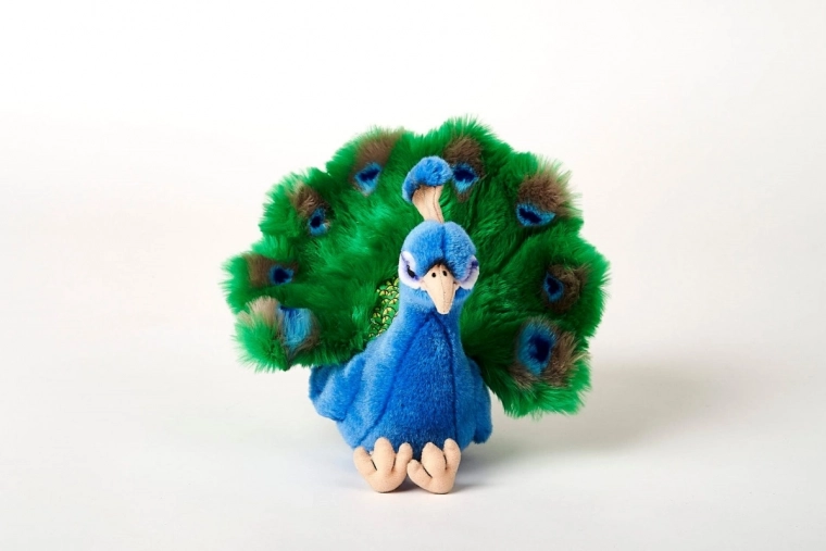 Taille idéale 25 cm