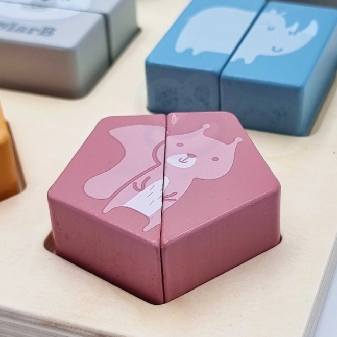 Puzzle de formes PolarB