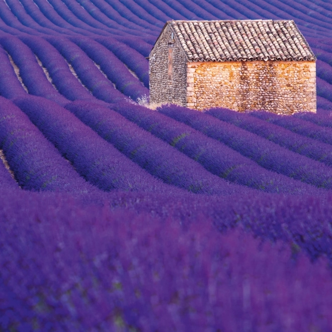 Calendrier à notes Provence 2026