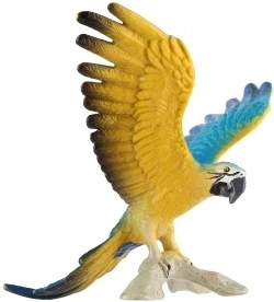 Couleurs et détails réalistes