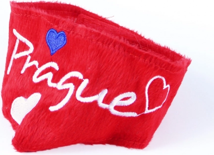 Design pragois remarquable
