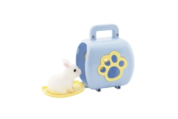 Petit animal dans une boîte de transport