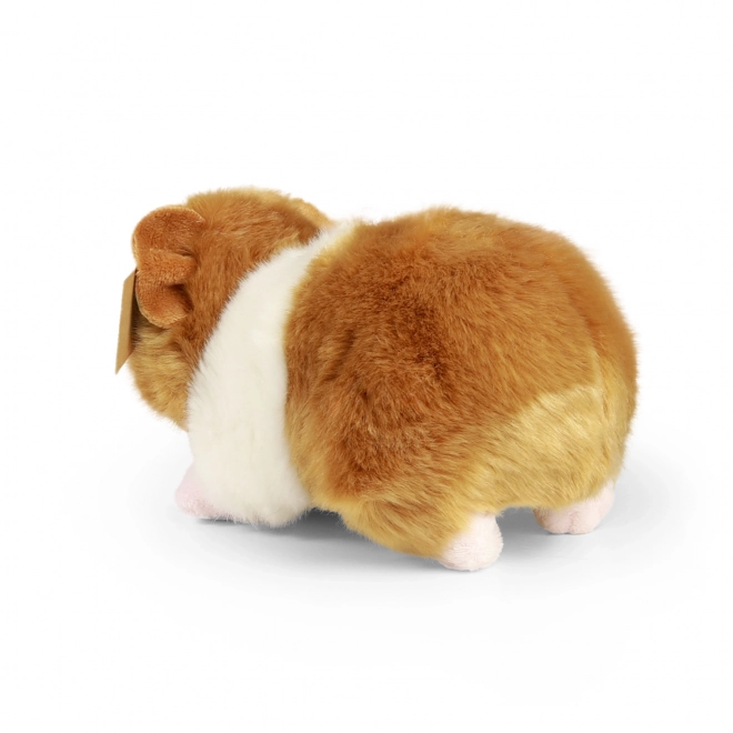 Cochon d'Inde en peluche Rappa Eco-responsable