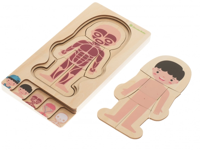 Puzzle en bois multicouche le corps humain Montessori