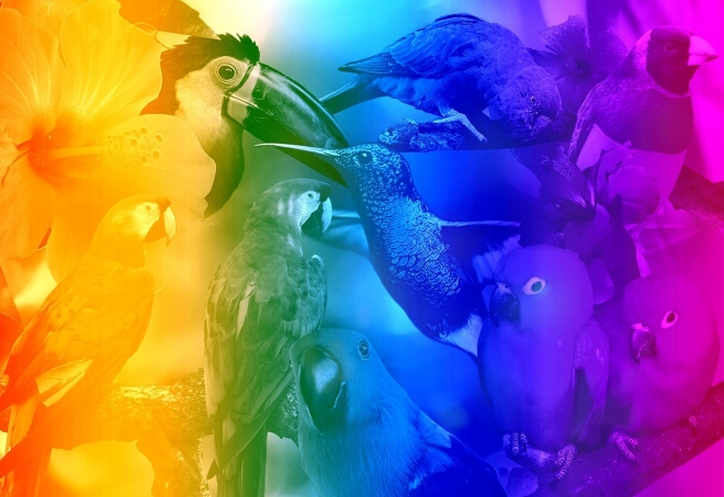Puzzle en bois Paradis aviaire 2 en 1