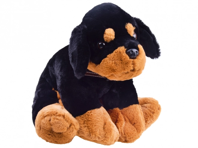 Chiot en peluche
