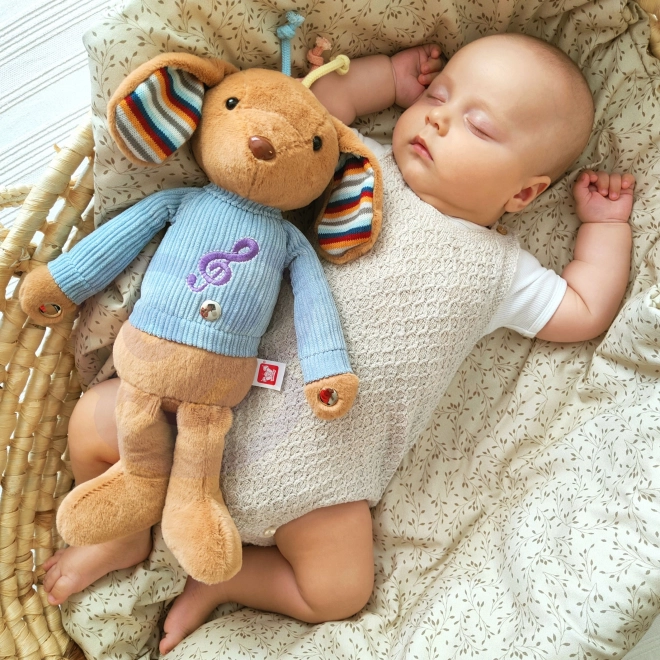 Compagnon doux et câlin