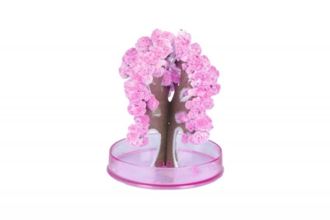 ARTO Sakura magique