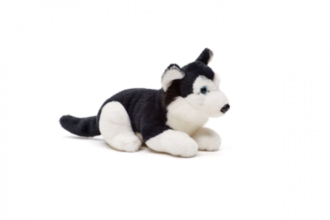 Husky en peluche 15 cm