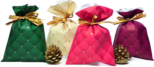 Sachet cellophane 25x40 cm
