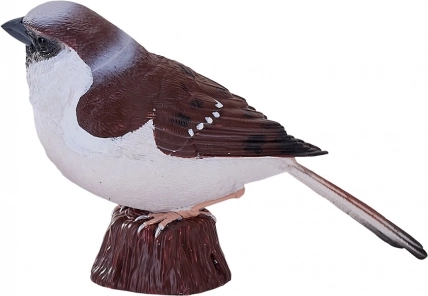 Mojo moineau domestique – figurine réaliste peinte à la main