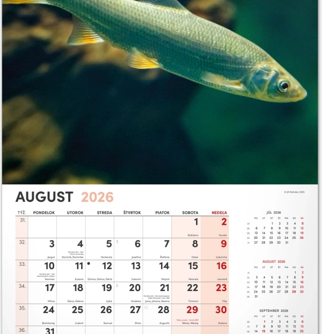 Calendrier mural Pêcheur 2026