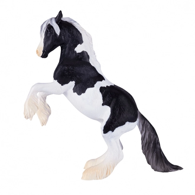 Mojo Étalon Gypsy Vanner