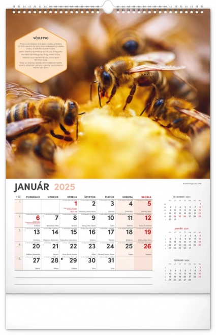 Calendrier mural NOTIQUE Apiculture 2025, 33 x 46 cm