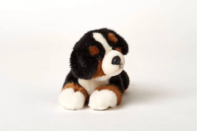 Chien de montagne bernois en peluche 25 cm