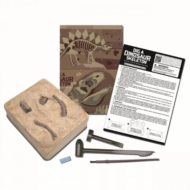 Squelette de dinosaure - REX