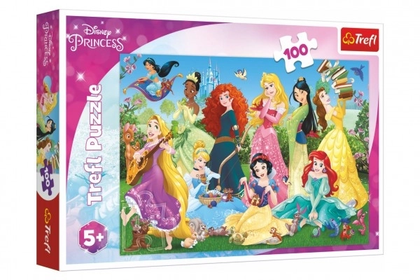 Puzzle Princesses Enchantées/Disney 100 pièces 41x27,5cm dans une boîte 29x19x4cm