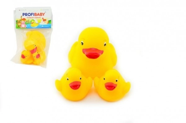 Ensemble de canards en caoutchouc pour le bain 3 pcs