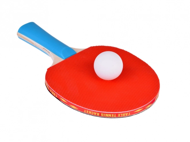Raquettes de ping-pong en bois avec balles