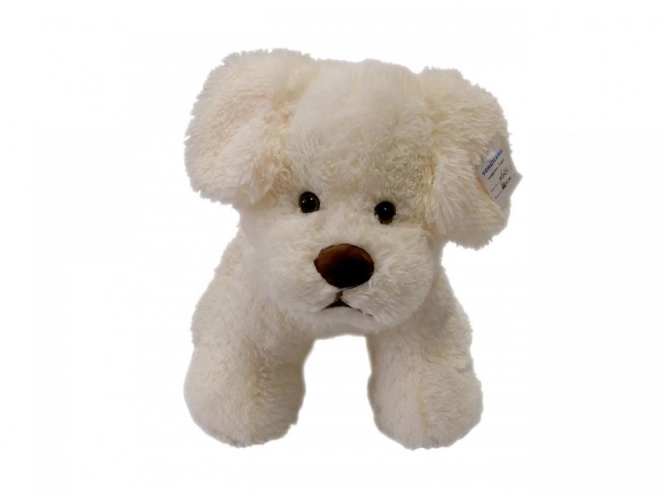 Chien en peluche crème