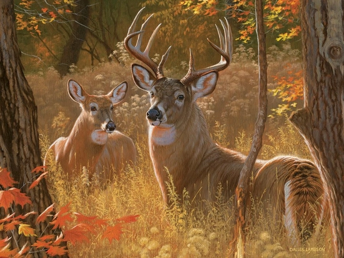 Magnifique motif de rendez-vous secret de cerfs