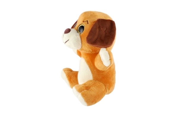Animal en peluche grandes yeux 18 cm sur carte