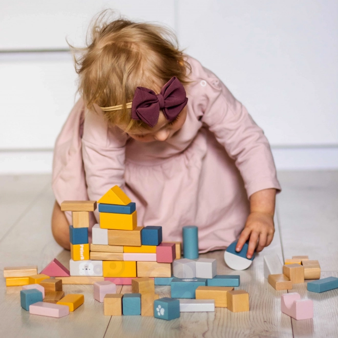 Jeu de construction en bois 60 blocs