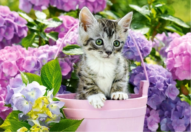 Puzzle 1500 pièces Chaton dans un panier CASTORLAND