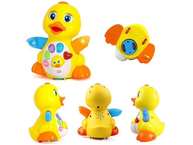 Canard musical interactif