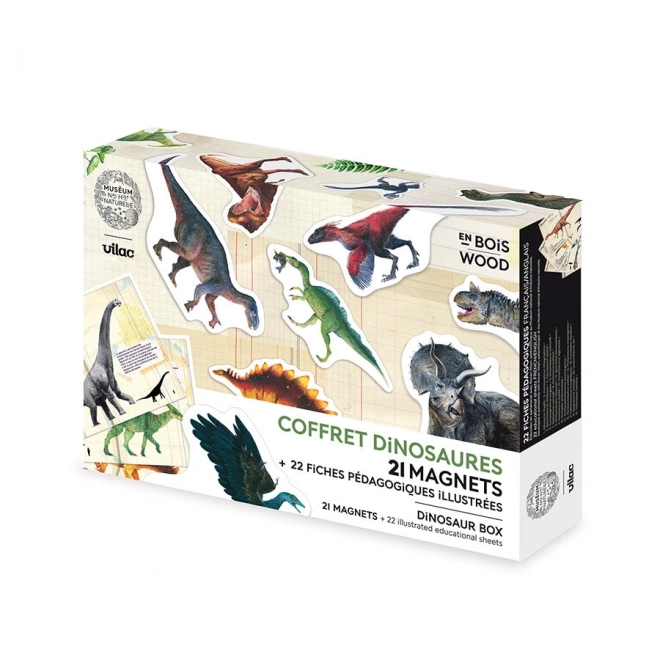 Vilac Aimants Dinosaures