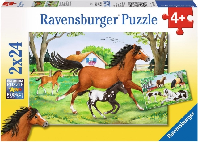 RAVENSBURGER puzzle monde des chevaux 2×24 pièces