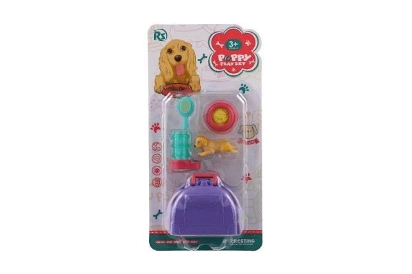 Petit chien avec boîte de transport et accessoires