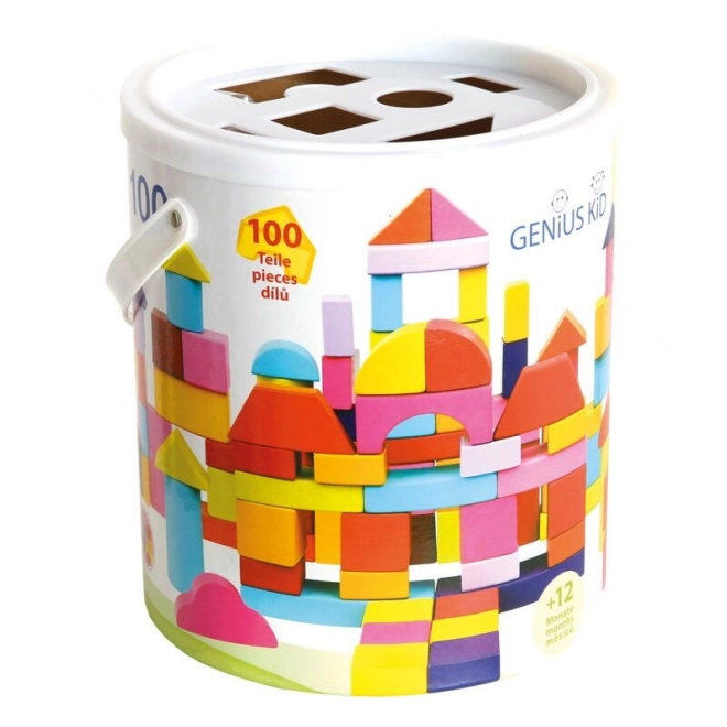 Bino Blocs dans seau 100 pcs nouvelles couleurs