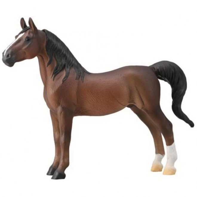 COLLECTA étalon de selle américain