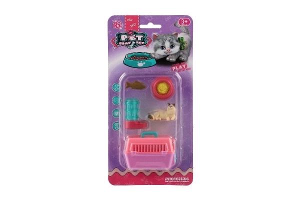 Petit chat avec une boîte de transport et accessoires